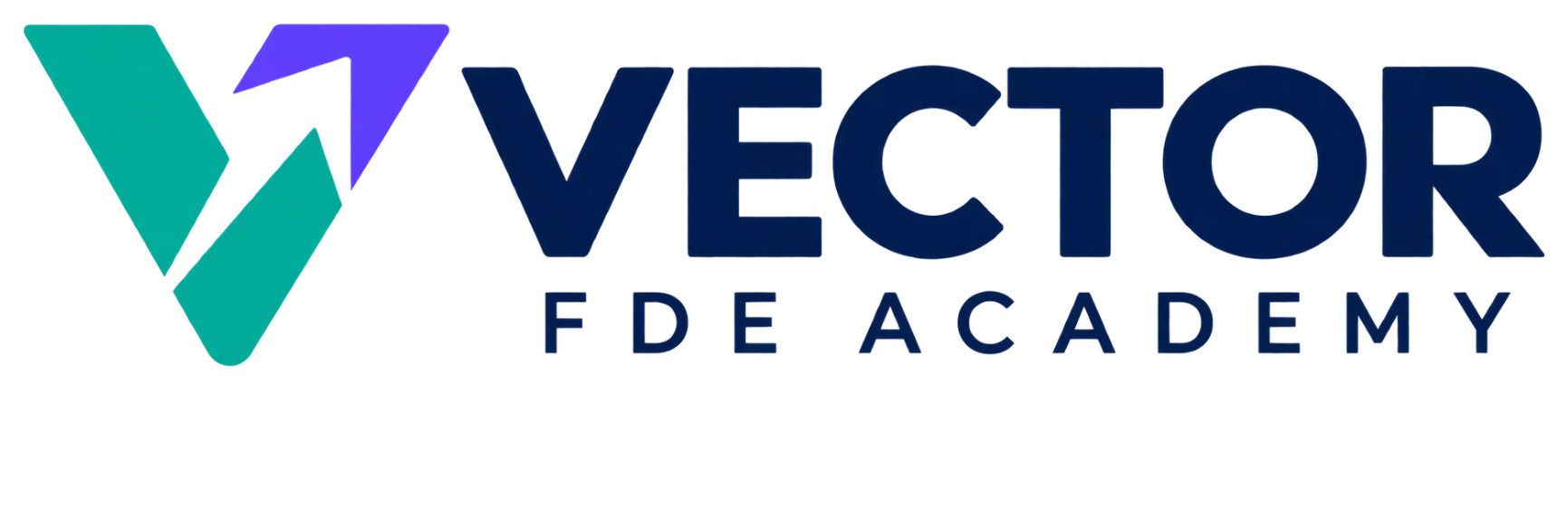 Vector FDE Academy